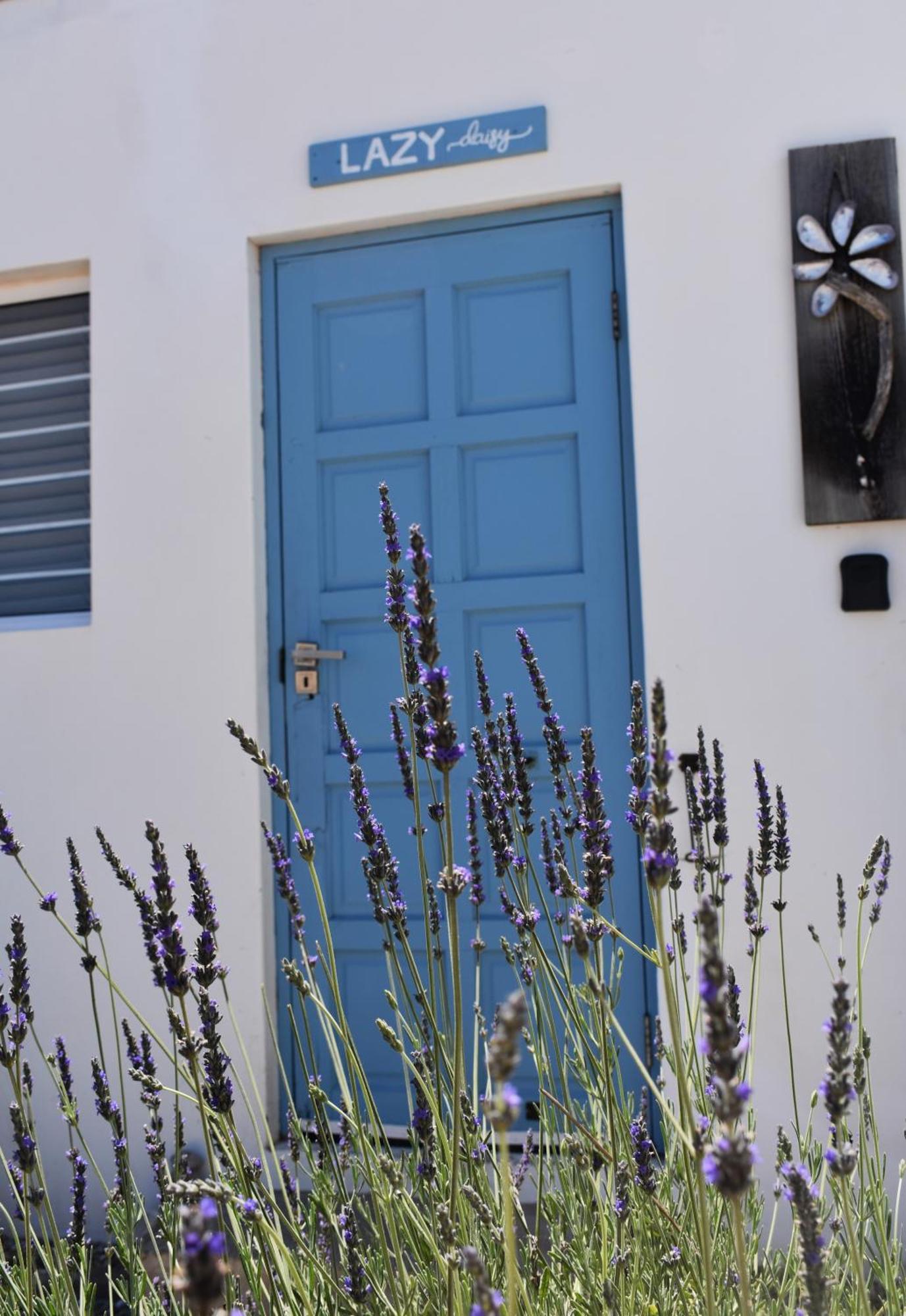 The Lazy Daisies Daire St Helena Bay Dış mekan fotoğraf