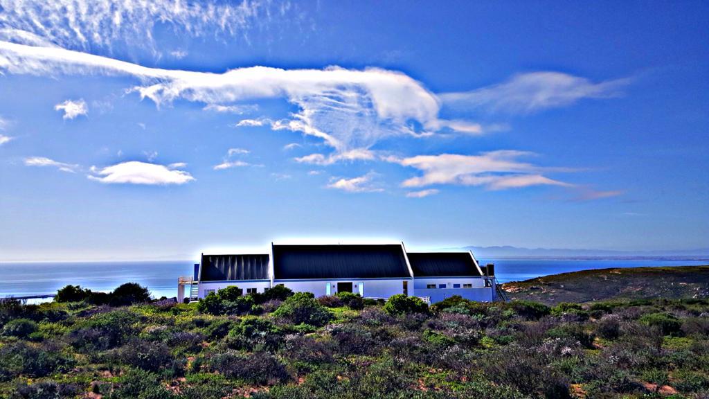 The Lazy Daisies Daire St Helena Bay Dış mekan fotoğraf